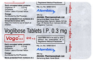 Vogo 0.3 Tablet 15