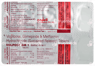 Volpost GM 1 Tablet 10