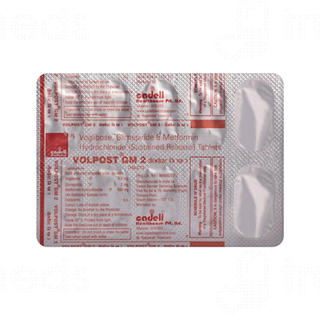 Volpost Gm 2 Tablet 10