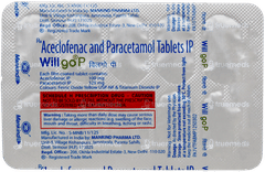 Willgo P Tablet 10