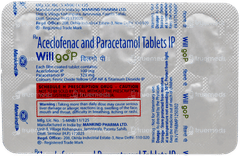 Willgo P Tablet 10