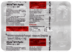 Xilia M1 Forte Tablet 10