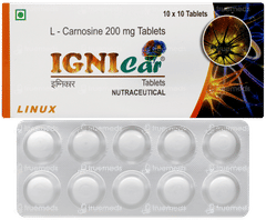 Ignicar Tablet 10