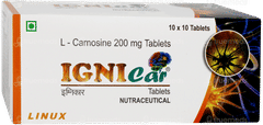 Ignicar Tablet 10