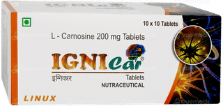 Ignicar Tablet 10