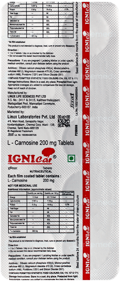 Ignicar Tablet 10