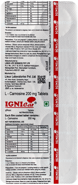 Ignicar Tablet 10