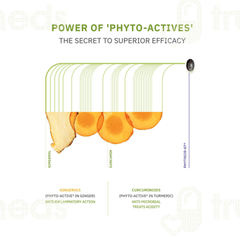 Phytocid Gt Capsule 10
