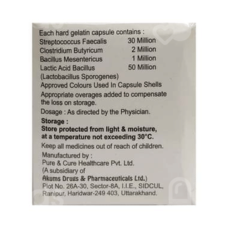 Stamic Capsule 10