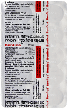 Benfica Capsule 10