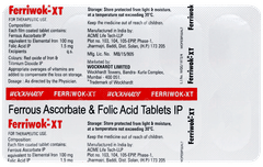 Ferriwok Xt Tablet 10