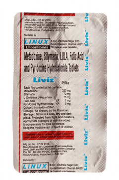 Liviz Tablet 10