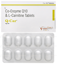 Q Car Tablet 10