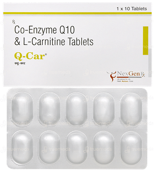 Q Car Tablet 10