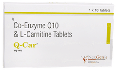 Q Car Tablet 10