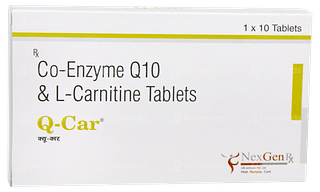 Q Car Tablet 10