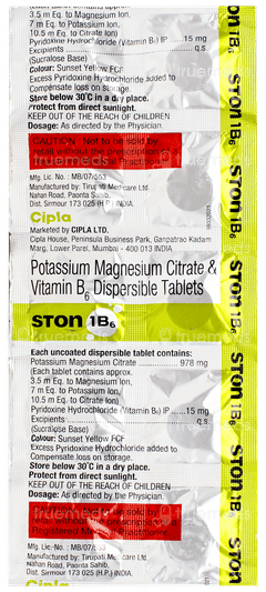Ston 1 B6 Tablet 10