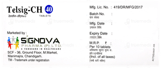 Telsig Ch 40/12.5mg Tablet 10