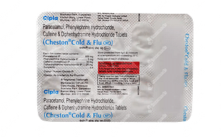 Cheston Cold & Flu Tablet 10