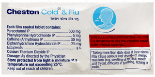 Cheston Cold & Flu Tablet 10