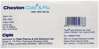 Cheston Cold & Flu Tablet 10
