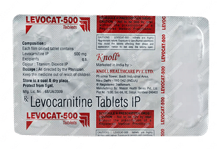 Levocat 500 MG Tablet 10