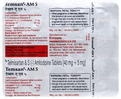 Temsan Am 5 Tablet 15 Temsan Am 5 Tablet 15