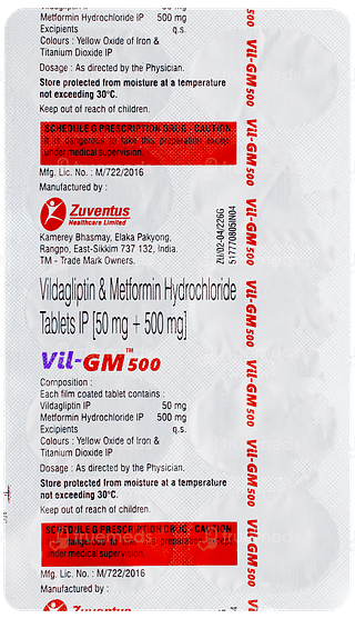 Vil GM 500 Tablet 10