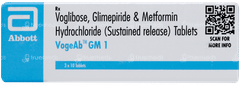 Vogeab GM 1 Tablet 10 Vogeab GM 1 Tablet 10