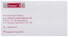 Gemer 2 Tablet 15