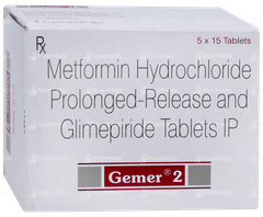 Gemer 2 Tablet 15
