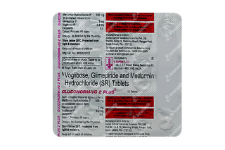 Gluconorm Vg2 Plus Tablet Sr 15