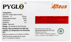 Pyglo Tablet 15