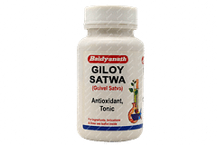 Baidyanath Giloy Satwa 10gm Baidyanath Giloy Satwa 10gm