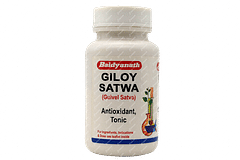 Baidyanath Giloy Satwa Powder 10 GM