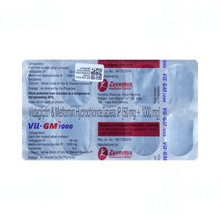 Vil GM 1000 Tablet 10