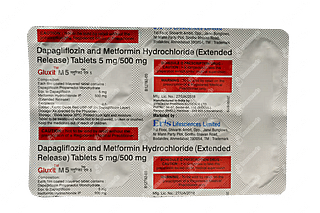 Gluxit M 5/500 MG Tablet Er 10