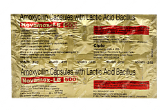 Novamox Lb 500 Capsule 10