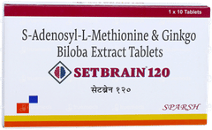 Setbrain 120 Tablet 10