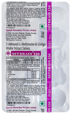 Setbrain 120 Tablet 10
