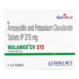 Walamox Cv 375 Tablet 6