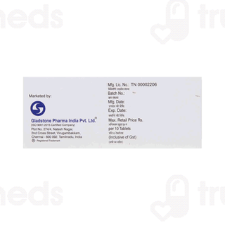 Homisure Tablet 10