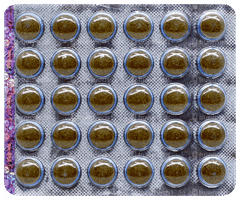 Patanjali Divya Madhunashini Vati Extra Power Tablet 30