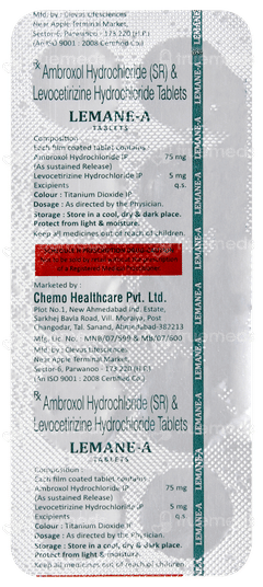 Lemane A Tablet 10