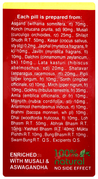 Rajvaidya Rasayan Vati Tablet 60