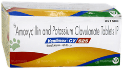 Ventimox Cv 625 MG Tablet 6 Ventimox Cv 625 MG Tablet 6
