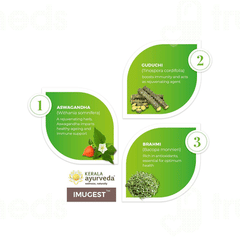 Kerala Ayurveda Imugest Tablet 100
