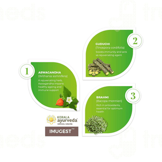 Kerala Ayurveda Imugest Tablet 100