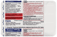 Okamet Gmp 2 Tablet 10