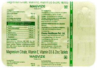 Magvize Tablet 10